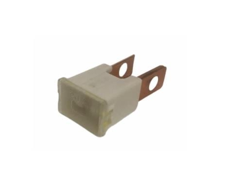 SIGORTA 06020 AYAKLI SİGORTA 20 A (45*22 MM)